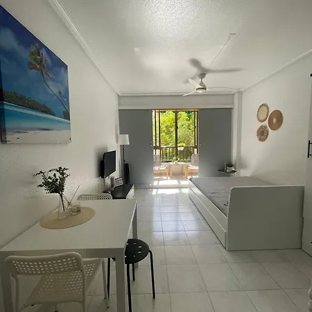 Studio, La Mata , Torrevieja, Vinamar 3 Apartment